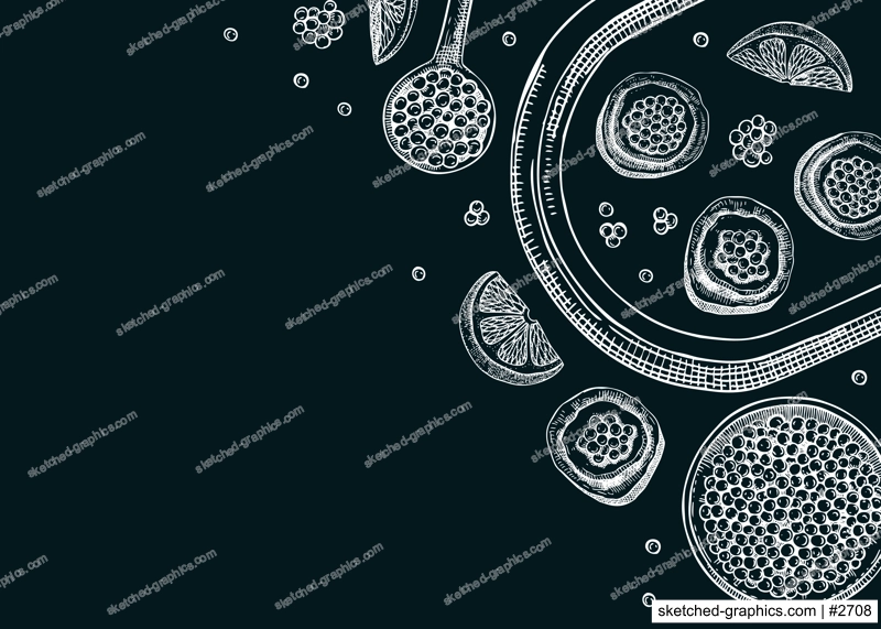 Seafood banner design with red caviar canape, canned caviar, lemons, spices on tray sketches on chalkboard. Sea delicacy background template for restaurant or finger food menu