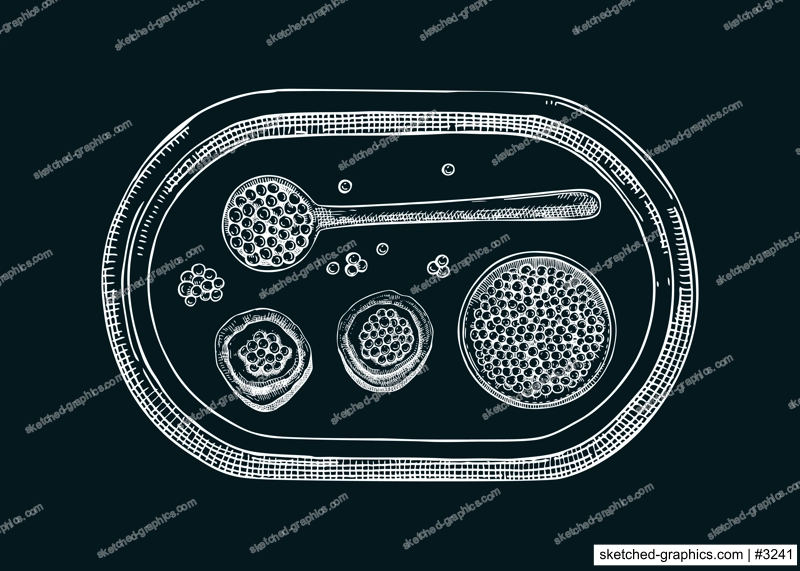Seafood illustration with red caviar canape, canned caviar, lemons, spices on tray sketches on chalkboard. Sea delicacy sketches set for restaurant or finger food menu