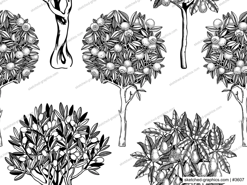 Sketched trees seamless pattern. Decorative plants with fruit, leaves and branches in engraving style. Hand-drawn yuzu, avocado and olive background. Botanical design for prints