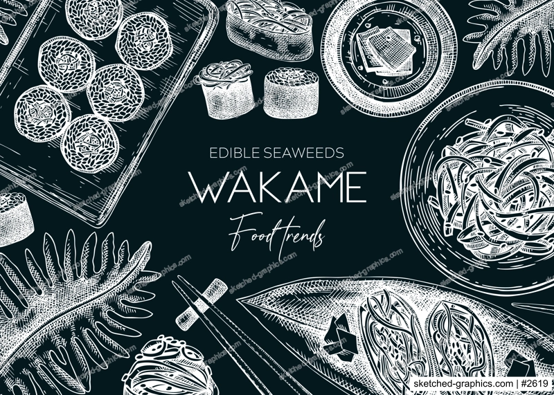 Edible seaweed background on chalkboard. Hand drawn wakame sketches. Sea vegetables vector illustrations. Japanese cuisine dishes menu. Healthy food ingredients banner in engraved style