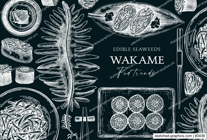 Edible seaweed background on chalkboard. Hand drawn wakame sketches. Sea vegetables vector illustrations. Japanese cuisine dishes menu. Healthy food ingredients banner in engraved style