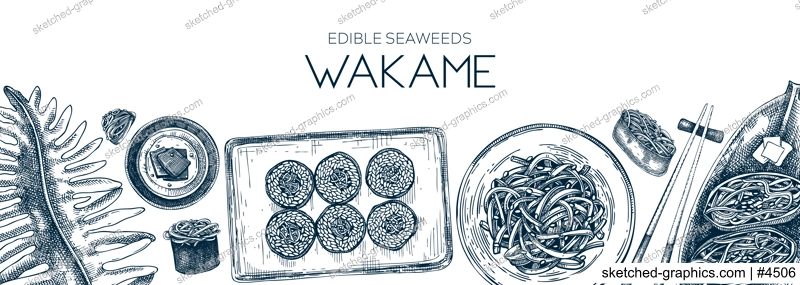 Edible seaweed vector background. Hand-drawn wakame algae border design. Sea vegetables, seaweeds, and healthy food vector illustrations. Japanese cuisine restaurant menu template