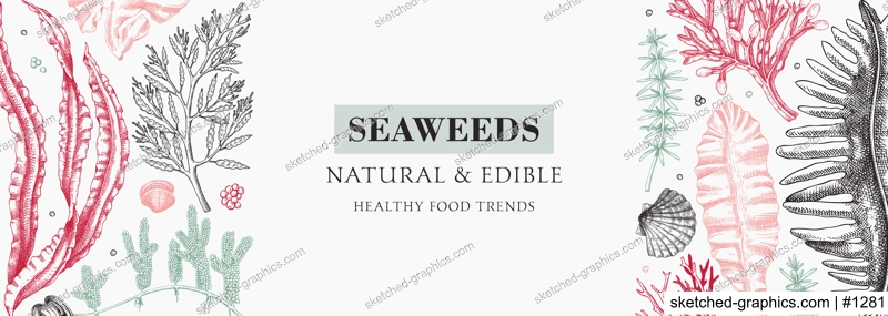 Botanical illustration of underwater algae. Edible seaweed banner design. Hand drawn food ingredients and vegetarian products frame. Sea vegetables - kelp, wakame, kombu, hijiki, Irish moss sketches