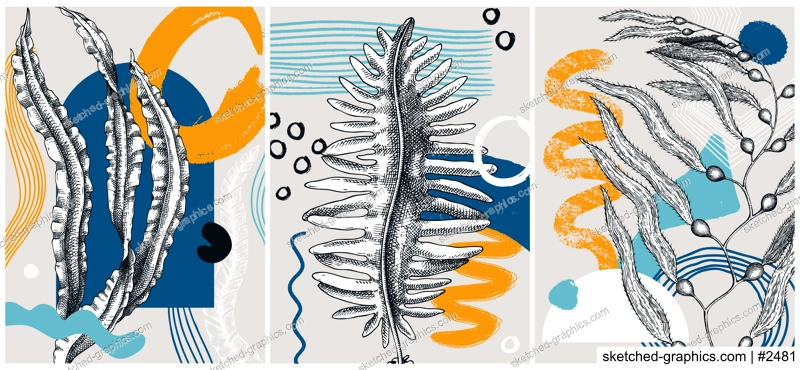 Collage-style seaweeds vector illustration. Sketched underwater plants banner set. Trendy design with botanical elements and geometric shapes. Elegant algae for sketch poster, card, and wall art.
