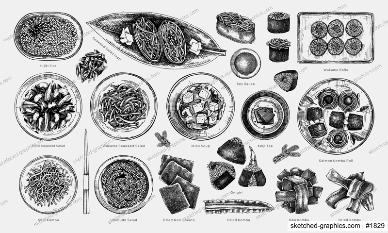 Hand-drawn healthy food vector illustration collection. Edible seaweed dishes sketches with names isolated on white background. Asian cuisine menu design elements in engraved style
