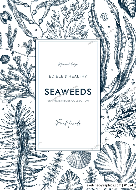 Hand-drawn edible seaweeds frame design. Sea algae in sketch style. Vector illustration with kelp, wakame, kombu, and hijiki drawings. Healthy food ingredients banner for Asian cuisine menu.