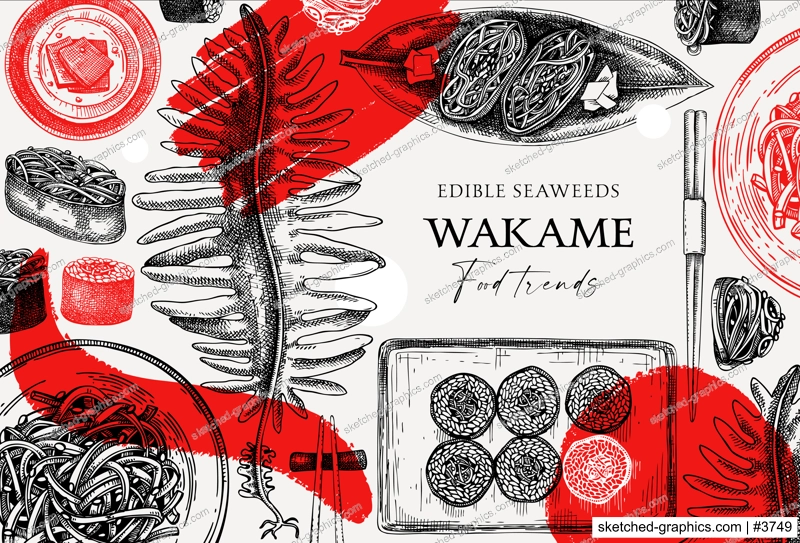 Edible seaweed frame design in collage style. Hand drawn wakame sketches. Sea vegetables vector illustration. Japanese cuisine dishes menu. Healthy food ingredients in engraved style