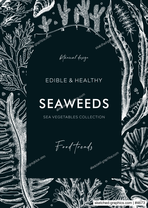 Edible seaweeds frame design on chalkboard. Hand drawn sea algae in sketch style. Vector illustration with kelp, wakame, kombu, and hijiki drawings. Healthy food ingredients banner for Asian cuisine