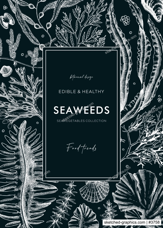 Hand-drawn seaweeds frame design. Edible algae in sketch style. Underwater plants vector illustration with kelp, wakame, kombu, and hijiki drawings. Healthy food ingredients banner on chalkboard