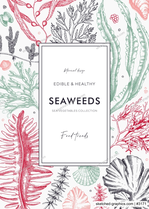 Hand-drawn seaweeds frame design. Edible algae in sketch style. Underwater plants vector illustration with kelp, wakame, kombu, and hijiki drawings. Healthy food ingredients banner for Asian cuisine 