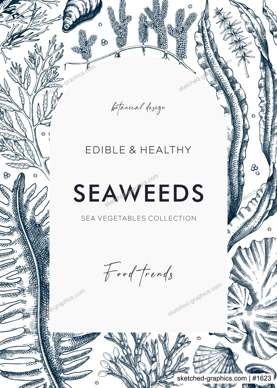 Edible seaweed card or invitation design. Sea algae in sketch style. Vector frame with kelp, wakame, kombu, and hijiki illustrations. Healthy food ingredients banner.