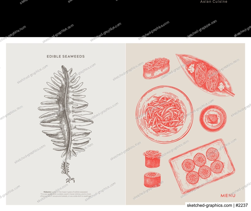 Asian food background. Wakame, edible seaweeds, sea vegetable, kelp, healthy food sketches. Hand drawn seafood restaurant menu design template. Engraved vector illustrations in vintage style