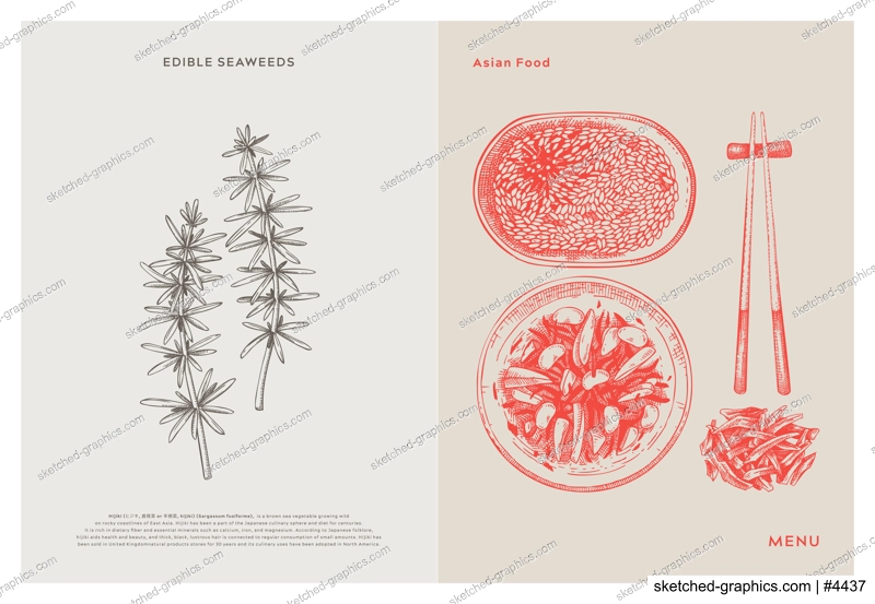 Asian food background. Hijiki, edible seaweeds, sea vegetable, kelp, healthy food sketches. Hand drawn seafood restaurant menu design template. Engraved vector illustrations in vintage style