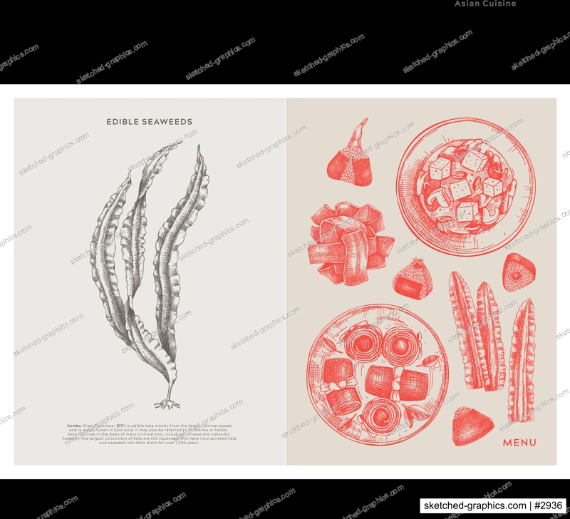 Asian food background. Kombu, laminaria, edible seaweeds, sea vegetable, kelp, healthy food sketches. Hand drawn seafood restaurant menu design template. Engraved vector illustrations in vintage style
