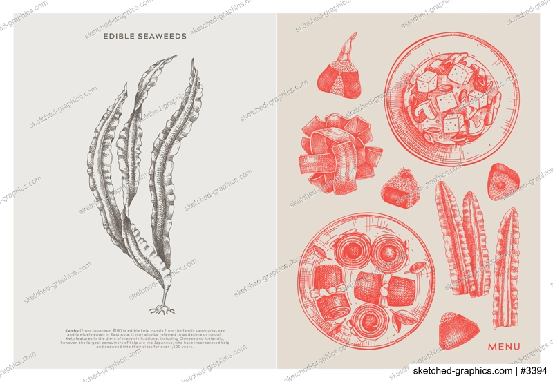 Asian food background. Kombu, laminaria, edible seaweeds, sea vegetable, kelp, healthy food sketches. Hand drawn seafood restaurant menu design template. Engraved vector illustrations in vintage style