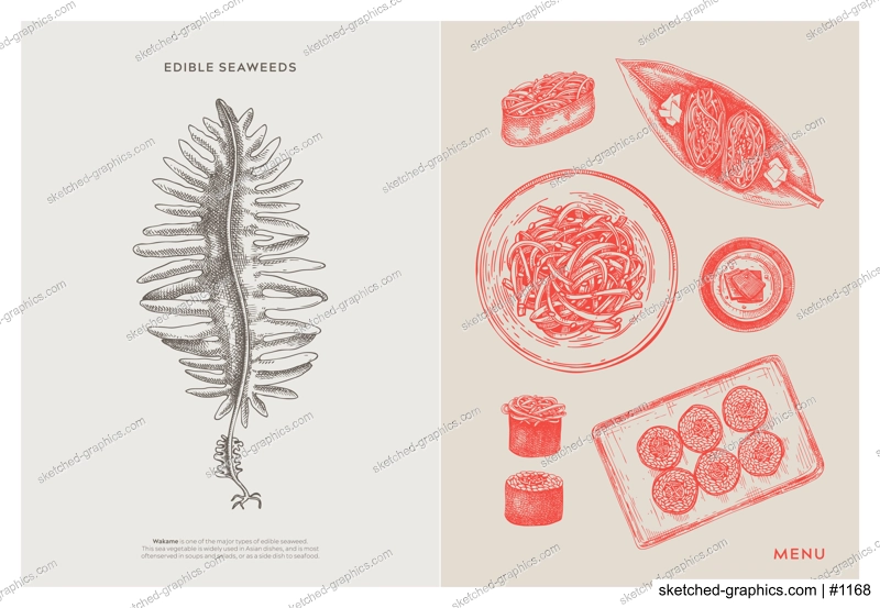 Asian food background. Wakame, edible seaweeds, sea vegetable, kelp, healthy food sketches. Hand drawn seafood restaurant menu design template. Engraved vector illustrations in vintage style