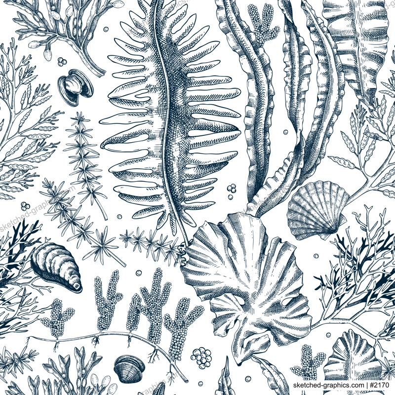 Sea life background. Edible seaweed seamless pattern. Hand-drawn kelp, kombu, wakame, hijiki, sea shells illustrations. Underwater plants and algae sketches style. For print, menu design or wrapping