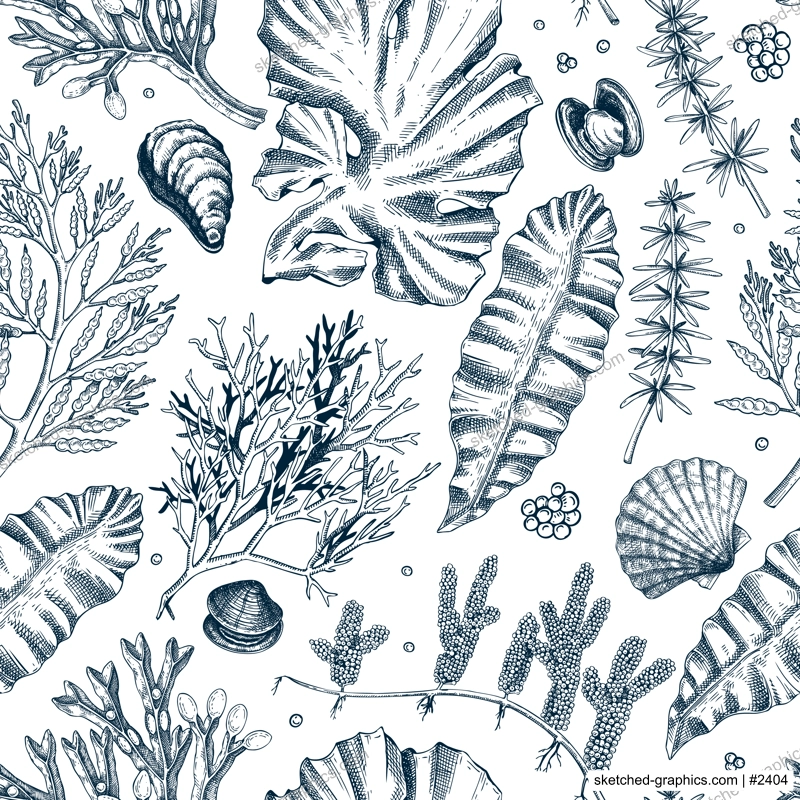 Sea life background. Edible seaweed seamless pattern. Hand-drawn kelp, kombu, wakame, hijiki, sea shells illustrations. Underwater plants and algae sketches. For print, menu design or fabrics