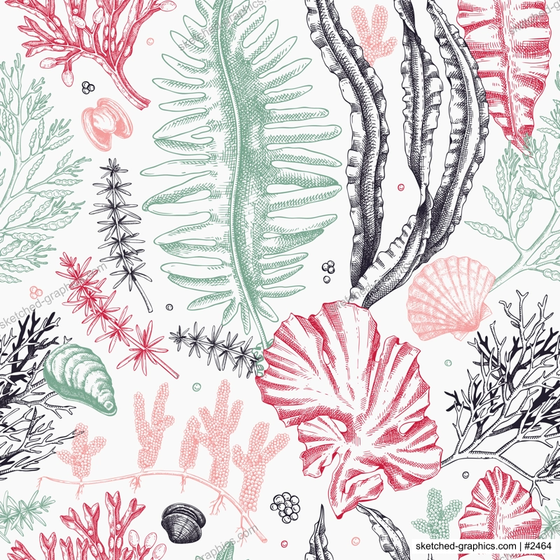 Sea life vector background. Edible seaweed seamless pattern. Hand-drawn kelp, kombu, wakame, hijiki, seashells illustrations. Underwater algae sketch style. For print, menu design or wrapping