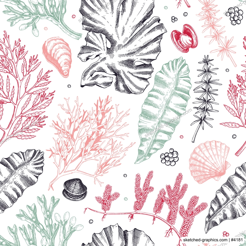 Sea life background in color. Edible seaweed seamless pattern. Hand-drawn kelp, kombu, wakame, hijiki, sea shells illustrations. Underwater plants and algae sketches. For print, menu design or textile
