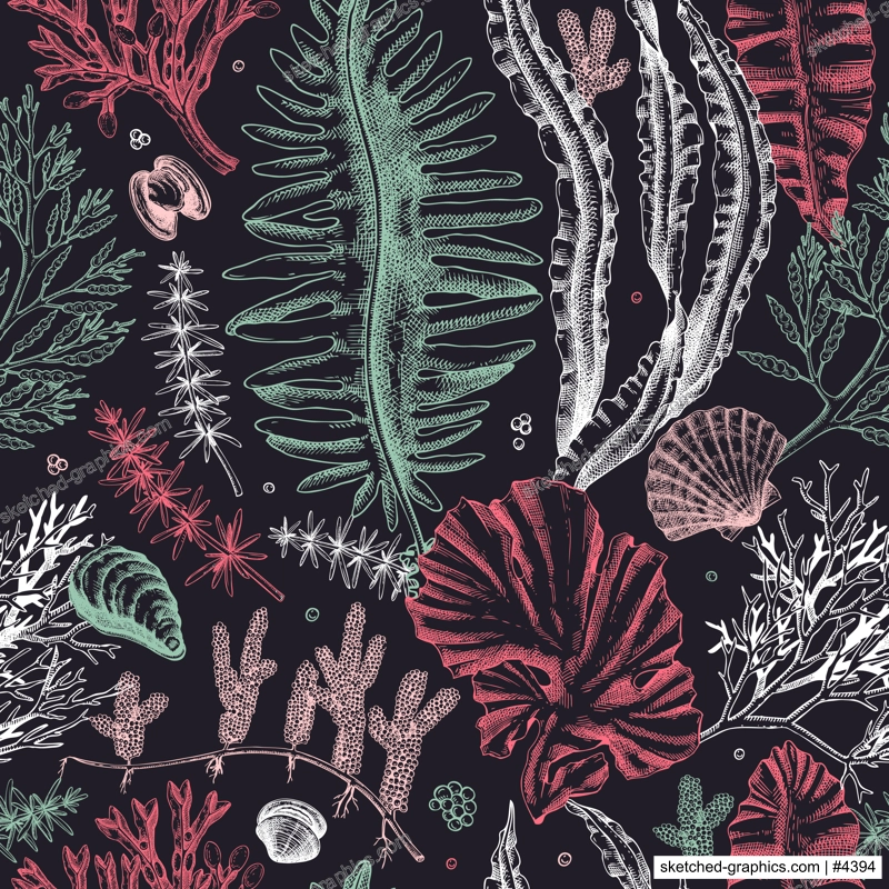 Sea life vector background. Edible seaweed seamless pattern. Hand-drawn kelp, kombu, wakame, hijiki, seashells illustrations. Underwater algae sketch style. For print, menu design or wrapping