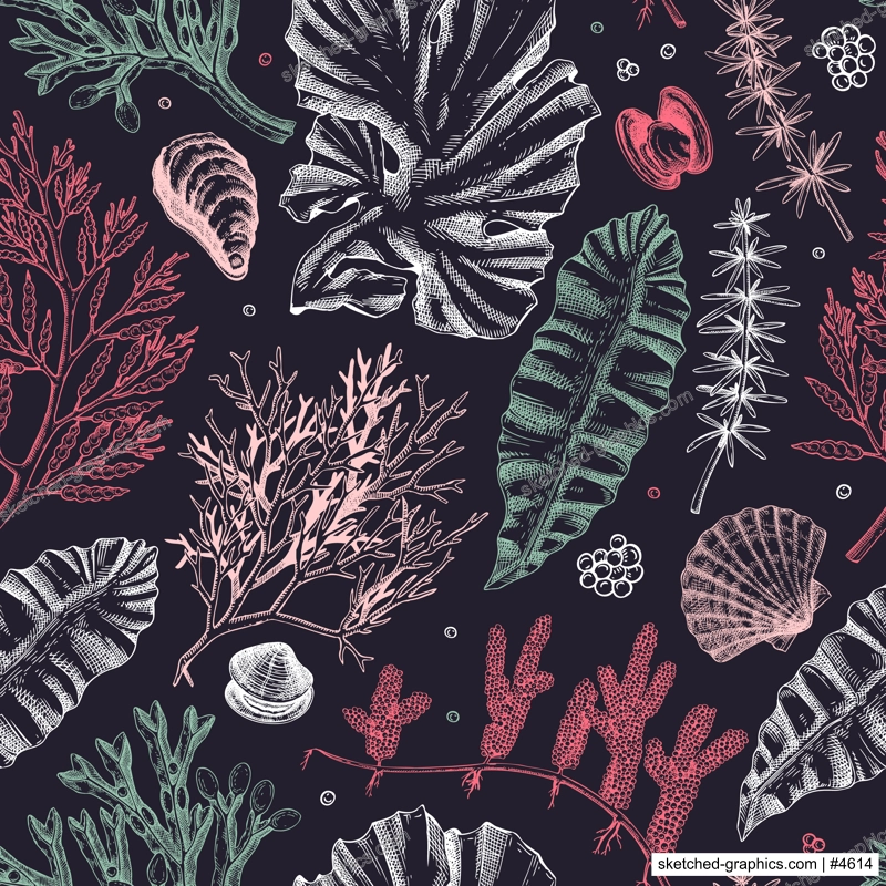 Sea life background. Edible seaweed seamless pattern. Hand-drawn kelp, kombu, wakame, hijiki, sea shells illustrations. Underwater plants and algae sketches. For print, menu design or wrapping paper