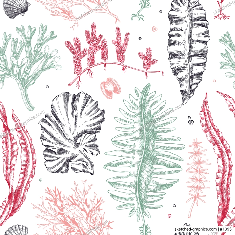 Edible seaweed seamless pattern. Hand-drawn sea vegetables - kelp, kombu, wakame, hijiki  drawings. Underwater algae design in sketch style. Asian cuisine menu or healthy food background