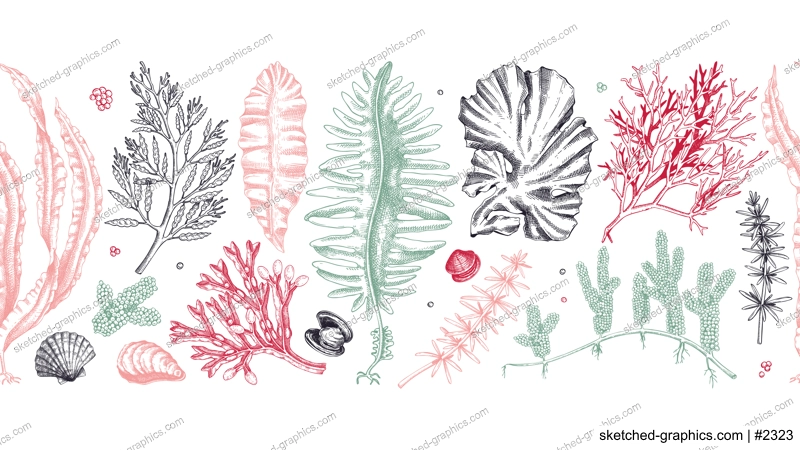 Edible seaweed seamless pattern in color. Hand-drawn sea vegetables - kelp, kombu, wakame, hijiki  drawings. Underwater algae ribbon in sketch style. Asian cuisine menu or healthy food design 