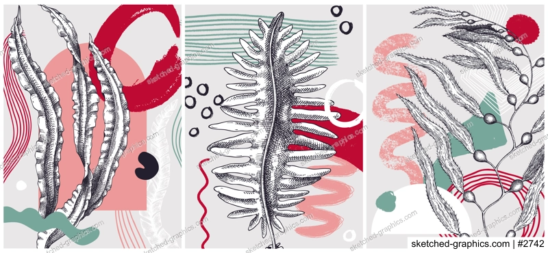 Collage-style seaweeds vector illustration. Sketched underwater plants banner set. Trendy design with botanical elements and geometric shapes. Elegant algae for sketch poster, card, and wall art.