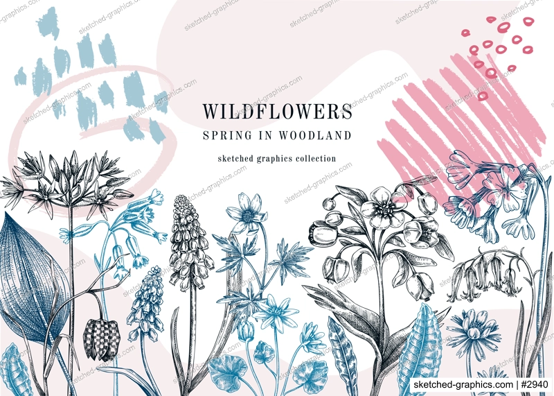 Collage style spring banner with meadows and wildflowers. Floral frame with woodland plants, flowers sketches, abstract elements. Trendy botanical design template. Easter background