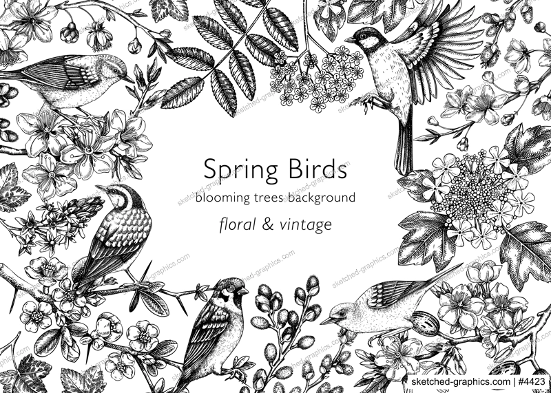 Spring birds vintage frame designs. Vector background with birds, flowers, blooming tree branches in sketched style. Almond, willow, rowan, willow, cherry blossom. Hand drawn floral sketch for print 