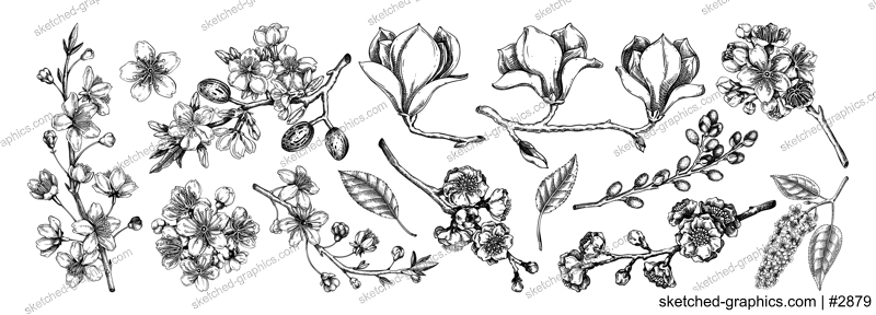 Spring blooming branches sketches. Hand-drawn botanical illustrations set. Floral design. NOT AI genereted