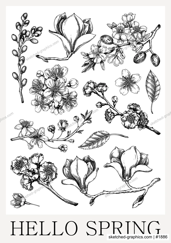 Spring poster design. Blooming branches sketches. Hand-drawn botanical illustration. Floral print design. NOT AI genereted
