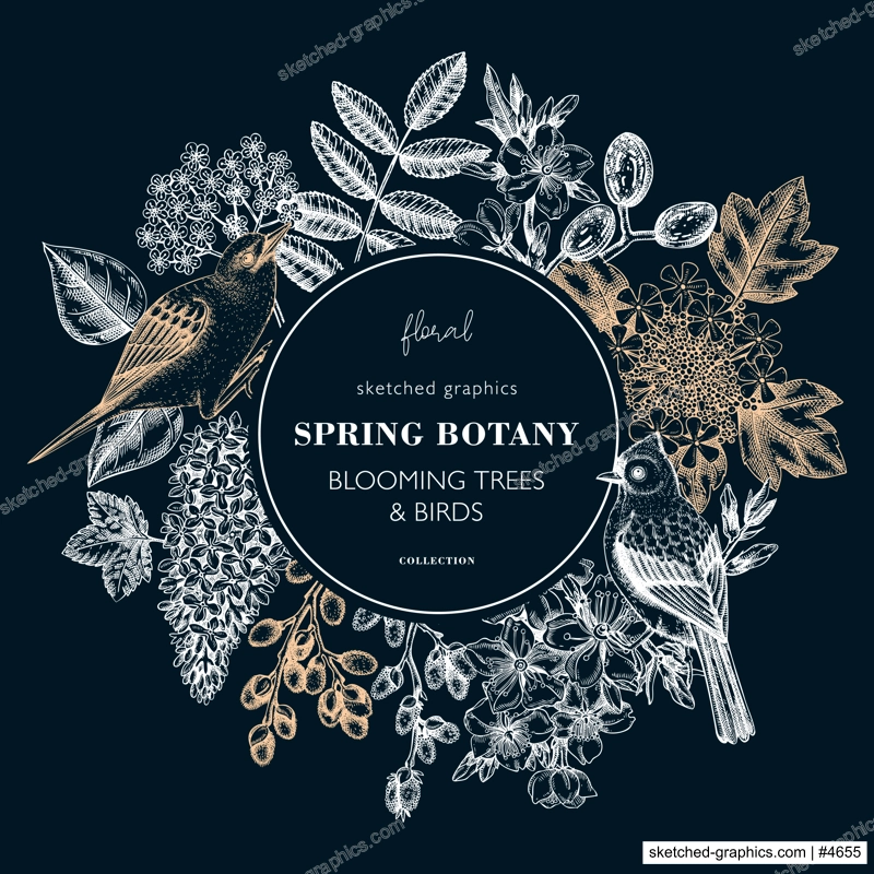 Spring hand drawn wreath template on chalkboard. Floral frame designs with birds, flowers, leaves and blooming tree branches. Almond, willow, rowan, willow, lilac, cherry blossom sketches for prints
