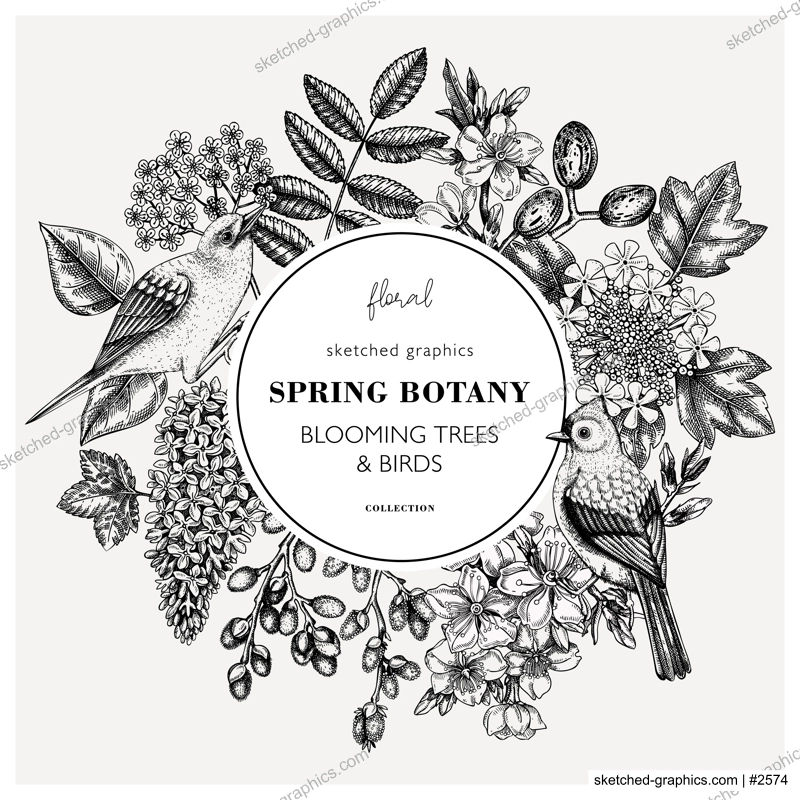 Vintage spring hand drawn wreath template. Floral frame designs with birds, flowers, leaves and blooming tree branches. Almond, willow, rowan, willow, lilac, cherry blossom sketches for card prints