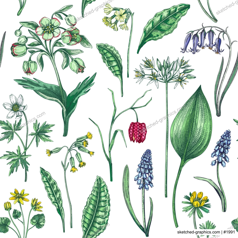 Spring flowers seamless pattern. Wildflowers background. Forest plant, greenery, wild flowers sketches. Hand drawn vector illustration. Not AI-generated