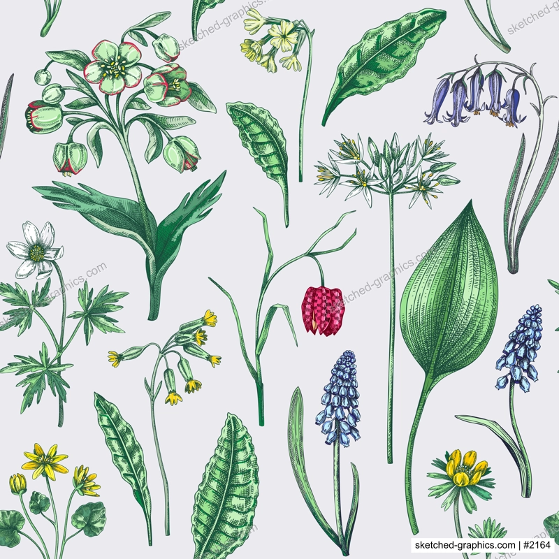 Spring flowers seamless pattern. Wildflowers background. Forest plant, greenery, wild flowers sketches. Hand drawn vector illustration. Not AI-generated