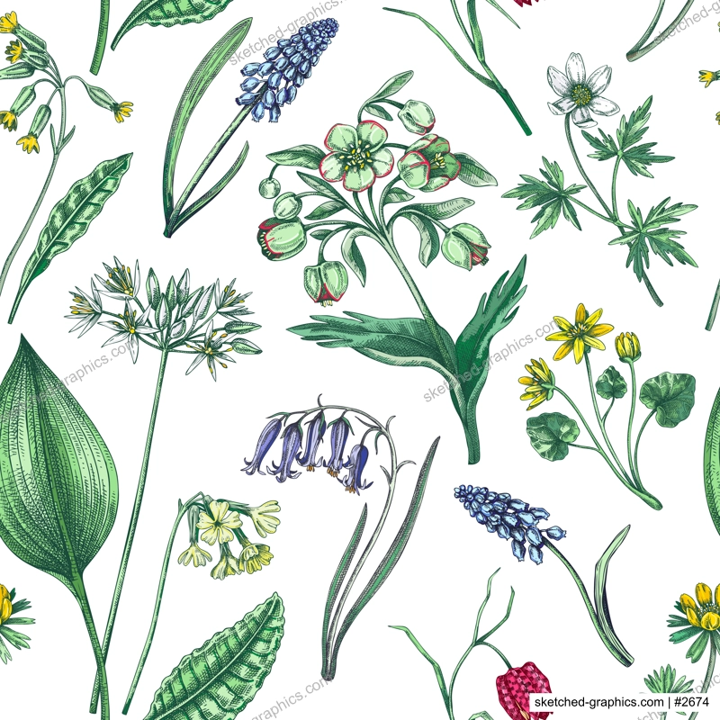 Spring flowers seamless pattern. Wildflowers background. Forest plant, greenery, wild flowers sketches. Hand drawn vector illustration. Not AI-generated