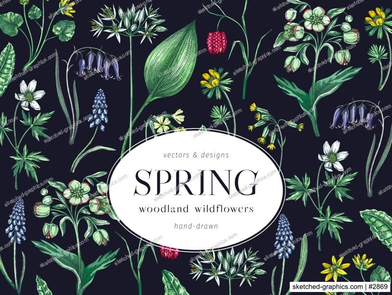 Colorful spring flowers background. Woodland flower, greenery, forest plants sketches. Botanical design in color. Wildflowers frame. Hand-drawn vector illustrations, NOT AI generated