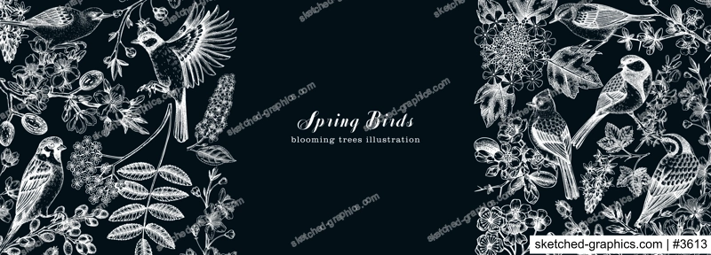 Spring garden banner designs. Vector background with birds, flowers, blooming tree branches in sketched style. Almond, willow, rowan, willow, cherry blossom. Hand drawn floral sketch on chalkboard