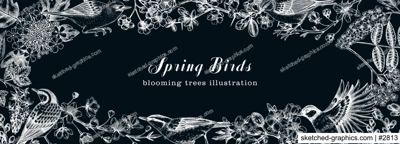 Spring garden background with birds, flowers, blooming tree branches on chalkboard. Hand drawn almond, willow, rowan, willow, cherry blossom design. Floral sketches frame