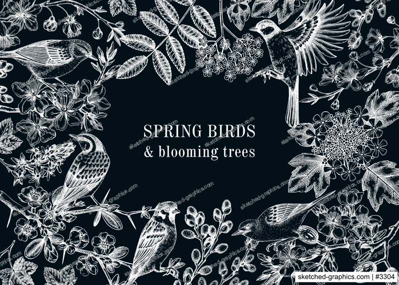 Spring garden background. Vintage frame designs with birds, flowers, leaves and blooming tree branches on chalkboard. Hand drawn almond, willow, rwillow, cherry blossom floral sketches for prints 