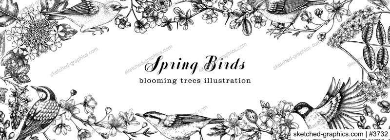 Spring garden frame designs. Vector background with birds, flowers, blooming tree branches in sketched style. Almond, willow, rowan, willow, cherry blossom banner. Hand drawn floral sketch 