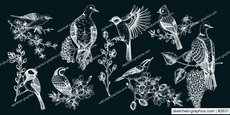 Spring garden background. Vintage seamless patter with birds, flowers, leaves and blooming tree branches. Hand drawn almond, willow, rowan, willow, cherry blossom floral sketches for prints or textile