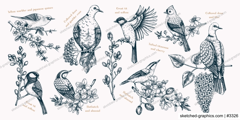 Spring garden background. Vintage seamless patter with birds, flowers, leaves and blooming tree branches. Hand drawn almond, willow, rowan, willow, cherry blossom floral sketches for prints or textile