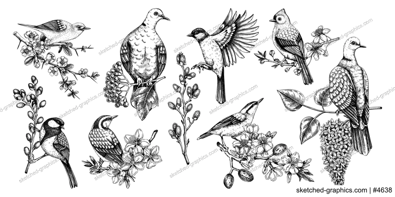Spring garden background. Vintage seamless patter with birds, flowers, leaves and blooming tree branches. Hand drawn almond, willow, rowan, willow, cherry blossom floral sketches for prints or textile