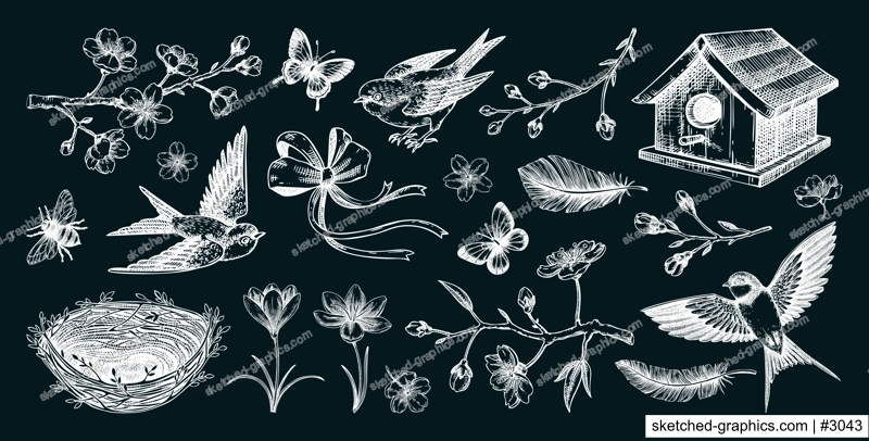 Hand-drawn spring sketches. Flying birds, sakura flowers, bird house, saffron vector illustrations. Easter design elements. Floral chalk drawings. NOT AI generated