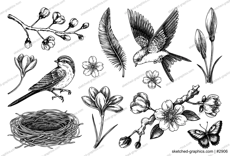 Hand-drawn spring sketches. Flying birds, sakura flowers, bird house, saffron vector illustrations. Easter design elements. NOT AI generated