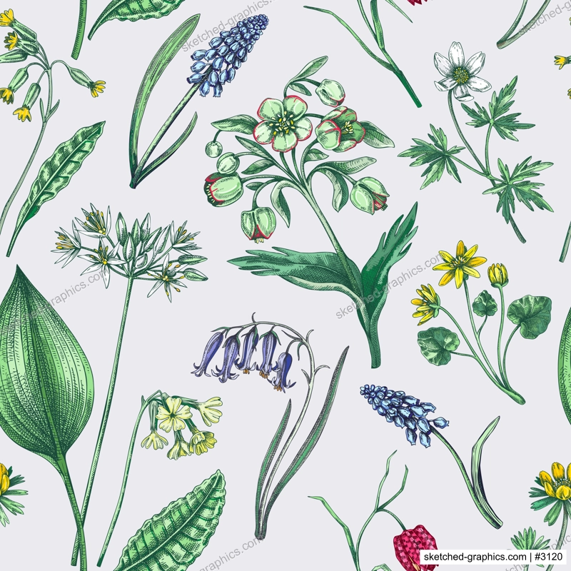 Spring flowers seamless pattern. Wildflowers background. Forest plant, greenery, wild flowers sketches. Hand drawn vector illustration. Not AI-generated