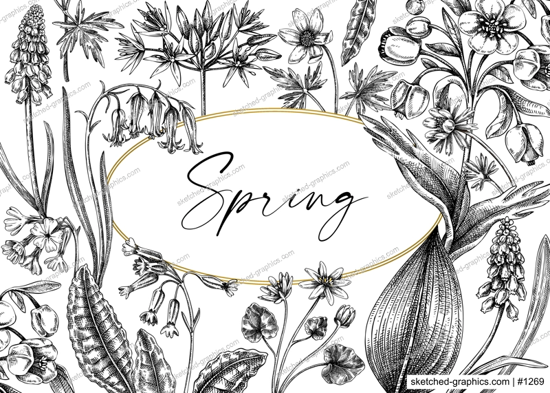 Spring wildflowers background. Woodland wild flower sketches. Hand-drawn vector illustrations. Cowslip, bluebell, grape hyacinth, hellebore, winter aconite. Floral frame design 